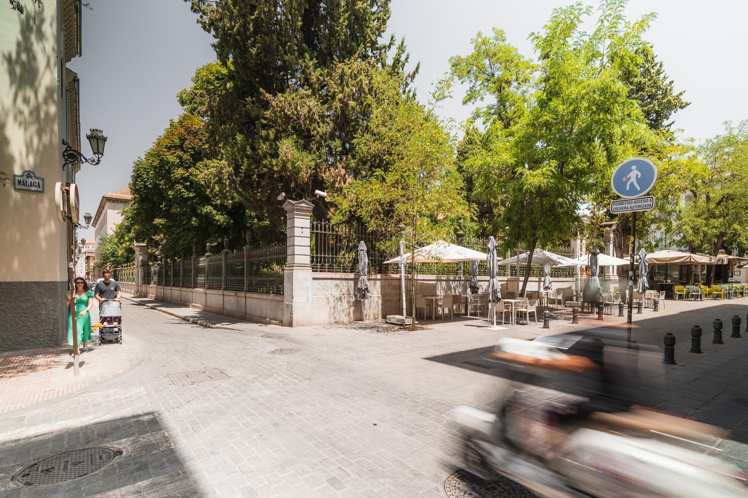 Tuguest Jardin Botanico Con Parking