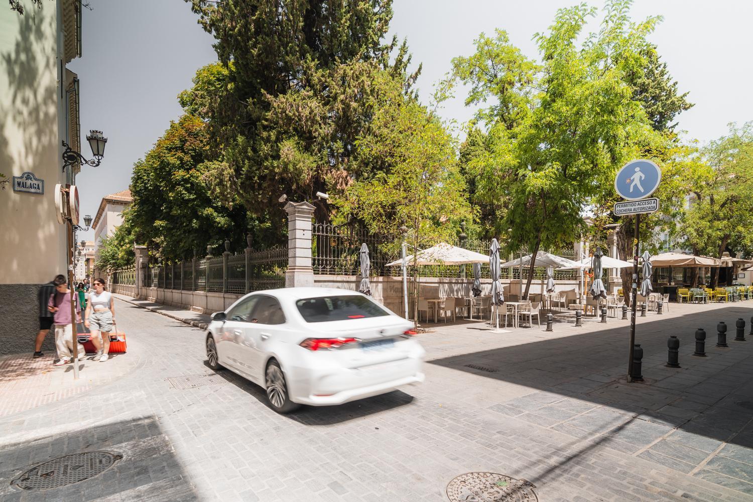 Tuguest Jardin Botanico Con Parking Appartamento *